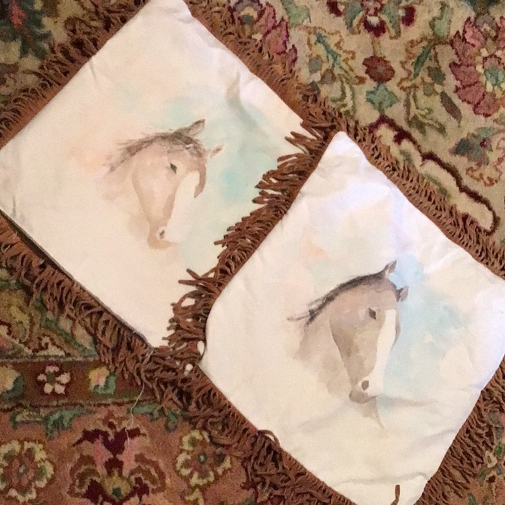 WESTERN ACCENT PILLOW COVERS